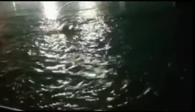 हरिद्वार से जल भर रहा कावड़िया डूबा -पुलिस ने बचाया
#हरिद्वार #कांवड़मेला #haridwarpolice #kavadyatra