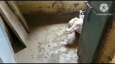 बटियागढ़: बटियागढ ब्लॉक के ग्राम गढोला खाडें की आंगनवाड़ी भवन जर्जर छत से टपक रहा पानी, बच्चों को पढ़ने में हो रही भारी परेशानी