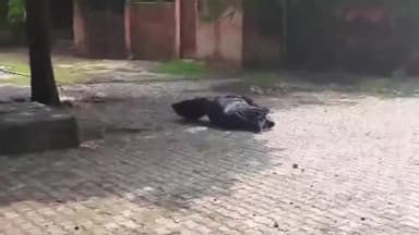 आज़मगढ़: सोनवारा के पास नहर मिले युवक के शव मिलने का मामला, परिजनो ने तीन पूर्व एक व्यक्ति से मारपीट का लगाया आरोप