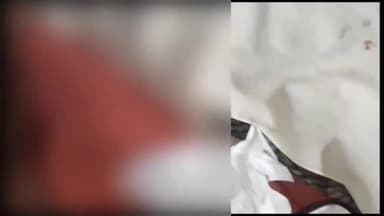 अररिया: प्रसादपुर डुमरिया गांव में बाइक से मवेशी को ठोकर लगने पर हुए विवाद में हुई मारपीट में दोनों पक्ष से 2 लोग घायल