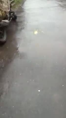 Dewal chamoli_mein lagataar ho rahi baarish