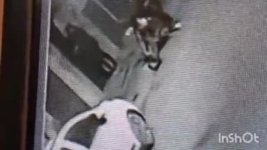 आगरा: थाना एत्माद्दौला क्षेत्र में अकाउंटेंट के घर का ताला तोड़कर हुई चोरी, घटना सीसीटीवी में कैद