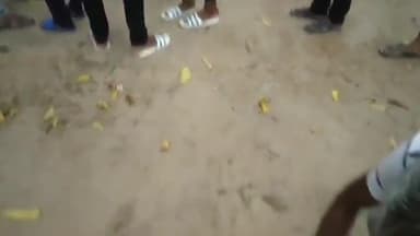 नीमराना: कुतीना गांव में मोर के 4 चूजे की तस्करी करने के मामले में दो आरोपियों को कोर्ट ने भेजा जेल