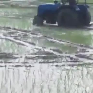 सलोन: केवलपुर खैरहनी पहाड़गढ़ में दबंगों द्वारा जबरन धान की फसल को ट्रैक्टर से नष्ट करने का आरोप, कोतवाली में हुई शिकायत।