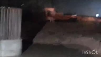 बुदनी: शाहगंज जोड़ N H 46 पर बाघ दिखने का वीडियो हो रहा वायरल, सड़क निर्माण कंपनी के कर्मचारियों में दहशत