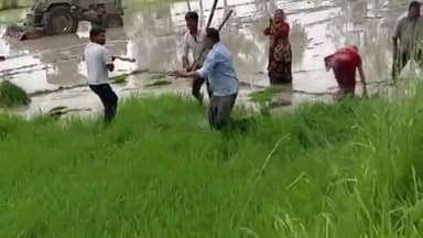 सिकंदरा: #Rahul verma#muneesh verma
ne mara berahmi se mere papa mammi 
chacha#chachi huye ghayl#hamne banai to kar door se vedio