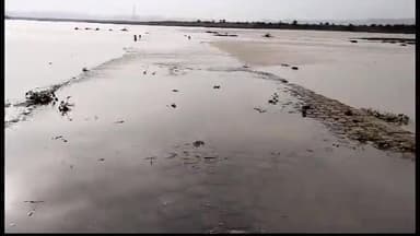 पीपलदा: चम्बल नदी के झरेर पुलिया पर 6 फिट पानी की चादर चलने से 9 दिनों से खातोली- सवाई माधोपुर मार्ग अवरुद्ध