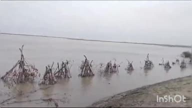 महसी: महसी तहसील क्षेत्र में घाघरा व सरयू नदी का बढ़ा जलस्तर तटीय इलाके के लोगों की बढ़ी धड़कने
