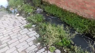 कानपुर: #nagarnigamkanpur वार्ड 21 khandepur मुख्य नालियों का पानी सड़क पर बह रहा है पार्षद जी से निवेदन है कि ध्यान दें