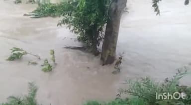 टीकमगढ़: पहाड़ी तिलवारन गांव के पास नाले में बही बाइक, महिला लापता