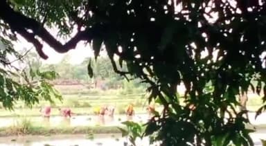 त्योंथर: ग्राम पंचायत मांगी में भू-माफियाओं के द्वारा शासकीय भूमि पर किया गया कब्जा, नोटिस के बाद भी नहीं हटा रहे अतिक्रमण