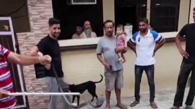 करनाल: एसपी कॉलोनी फूसगढ़ रोड पर घर में घुसा कोबरा सांप, स्नेक मैन ने किया रेस्क्यू