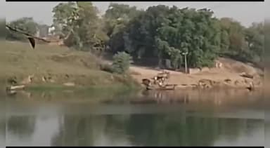 त्योंथर: नगर परिषद क्षेत्र अंतर्गत चिल्ला घाट पर अवैध तरीके से की जा रही बालू की निकासी