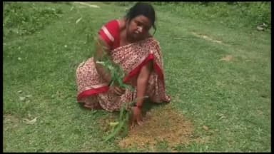 बलरामपुर: कन्या इंटर कॉलेज हरैया परिसर में किया गया वृक्षारोपण