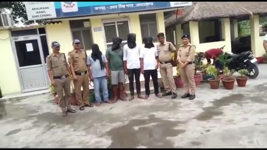 #किच्छा : कारखाने में खेलते थे #जुआ #पुलभट्टा #पुलिस ने 4 लोगों को किया गिरफ्तार। Follow:- @realzeeshan #khabarheadline7