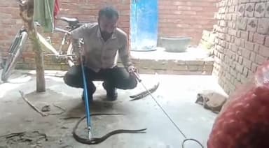 इटावा: पीपल अड्डा मोहल्ले में घर के अंदर मिला सांप, वन्यजीव विशेषज्ञ ने पकड़कर जंगल में छोड़ा