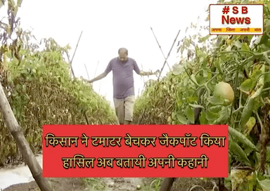 किसान ने टमाटर बेचकर जैकपॉट किया
हासिल, अब बतायी अपनी कहानी
#Tomatoes #Pune #MaharashtraNews #hindinews