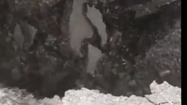 गाज़ियाबाद: शालीमार गार्डन मंगल पांडे चौक पर सड़क पर पलटे ट्रक को क्रेन की मदद से पुलिस ने हटवाया,
यातायात किया गया सुचारू