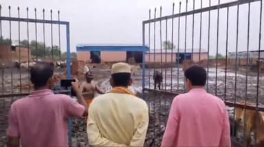 बुलंदशहर: कुराला गांव में सदर विधायक के निरीक्षण के बाद 12 घंटे में सुधरी गौशाला की स्थिति