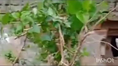 महसी: तिवारी पुरवा में एक ही रात दो घरों को चोरों ने बनाया निशाना, नगदी सहित जेवरात किए चोरी; जांच में जुटी पुलिस