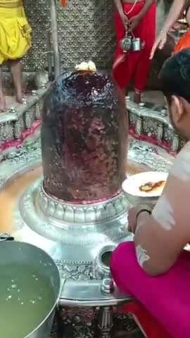 जय शिव #शंकर जय #महाकाल #vivekmishrabina