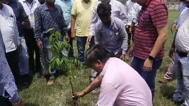 नगर निगम कचरा प्लांट में किया गया पौधारोपण नगर निगम के अधिकारी कर्मचारी रहे उपस्थिति