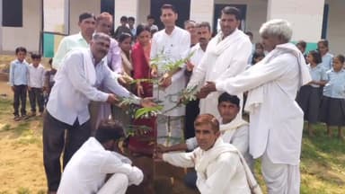 नांगल राजावतान: नांगल राजावतान क्षेत्र में मंत्री मुरारी लाल मीणा के जन्मदिन पर पंचायत समिति क्षेत्र में 1065 पौधे लगाए गए