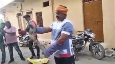 गायत्री नगर से 3 फूट के गोह का किया गया रेस्कू पकड़ कर सुरक्षित जंगल मे छोड़ा गया