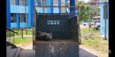 सुपौल: मचाह नहर के समीप मिला एक युवक का शव, परिजनों ने लगाया हत्या कर नहर में फेंकने का आरोप