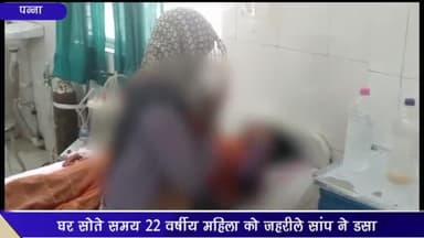 पन्ना: ग्राम टेढ़ी में घर में सोते समय 22 वर्षीय महिला को ज़हरीले सांप ने डसा, नाजुक हालत में जिला अस्पताल में उपचार जारी