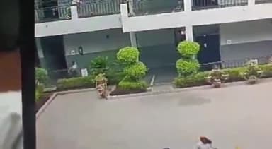 कानपुर: किदवई नगर के डॉक्टर विरेंद्र स्वरूप एजुकेशन सेंटर में पहली मंजिल से कक्षा-3 के छात्र ने लगाई छलांग, हालत गंभीर