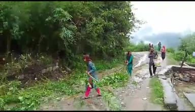 ग्राम पंचायत दुमट बेहली गांव खरथी में की नारादा शारदा shg की महिलाओं ने सफाई और भांग के पौधे भी उखाढे गए