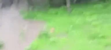 धार: घोड़ा चौपाटी स्थित CM राइज स्कूल का मैदान थोड़ी ही बारिश में बना मैदान,आदर्श रोड़ पर भरने वाले जल की निकासी जिम्मेदारों ने