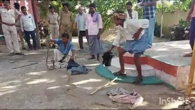 जहानाबाद: कडौना ओपी से आधा दर्जन से अधिक जहरीला सांप पकड़े जाने से मचा हड़कंप, पुलिस कप्तान भी रहे मौजूद