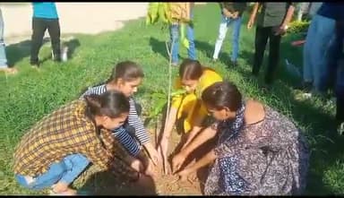 तालबेहट: कौशल बिकास मिशन के छात्रों ने किया ब्रक्षा रोपण#upsdm#sdm#