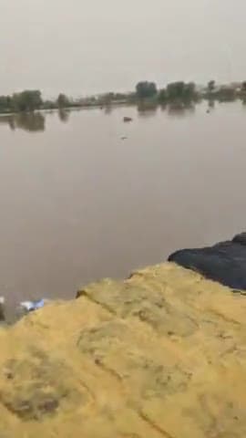 हनुमानगढ़: #hanumannagarh #ghagar nadi