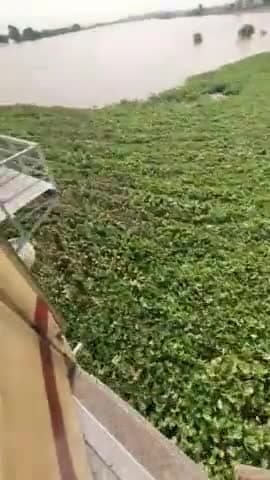 सूरतगढ़: सूरतगढ़ घगर नदी का नजारा 🤍@public24april #सूरतगढ़ #pani