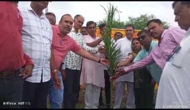 सुनेल: पिड़ावा मार्ग पर ग्राम पंचायत के तत्वाधान में कस्बेवासियों ने पौधारोपण कर सुरक्षा का संकल्प लिया कई जनप्रतिनिधि रहे मौजूद