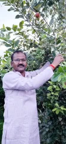 #सेब
विधानसभा क्षेत्र निघासन में अपने घर चंद्रिका फार्म हाउस कुर्मिनपुरवा में तीन साल पहले 1जुलाई 2020 को अपने नेता मा0 अखिलेश यादव जी के जन्मदिवस के अवसर पर लगाये सेब के पौधे में फल आने की अपार खुशी।