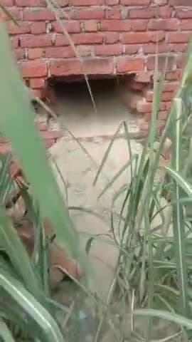 शाहबाद: मझिला थाना के ग्राम जमुरा ने अज्ञात चोरों ने दो मकानों में सेंध लगाकर की चोरी दोनों मकानों से लाखों के जेवर किए चोरी