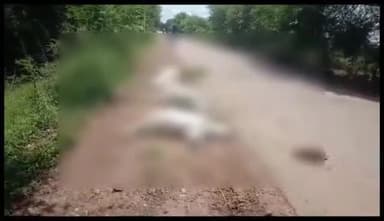 हटा: हटा-पन्ना राजमार्ग पर बोरदा के पास अज्ञात ट्रक ने करीब 6 मवेशियों को रौंदा, ग्रामीणों में नाराज़गी