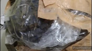 कलुआही: कलुआही थाना पुलिस ने मधेपुर से19 किलो गांजा के साथ एक को और हरपुर मौजूदा ही से एक शराब पिया कर को किया गिरफ्तार भेजा जेल