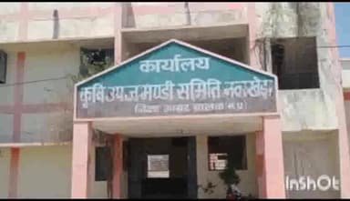 नलखेड़ा: कृषि उपज मंडी नलखेड़ा में कम हुई उपज की आवक, ₹2301 प्रति क्विंटल तक पहुंचे गेहूं के दाम