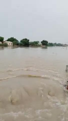 मथुरा: वृंदावन के पानीघाट इलाके में रातों रात
घरों में पानी घुस गया और पानी का जल
स्तर लगातार बढ़ता जा रहा है
#जलनिगम #योगी