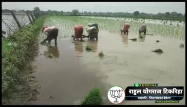 #जय_छत्तीसगढ़_महतारी 
हमर संस्कृति, हमर अभिमान🌱🌱