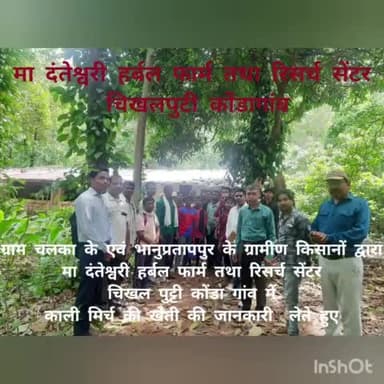 मा दंतेश्वरी हर्बल फार्म पहुंचे ग्राम चलका एवं भानुप्रतापपुर के किसान कोंडागांव