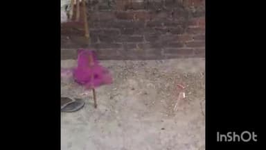 सलोन: समसपुर पक्षी विहार में मछलियों को मारने का वीडियो सोशल मीडिया पर हो रहा वायरल, स्थानीय लोगों ने SDM सलोन से की शिकायत