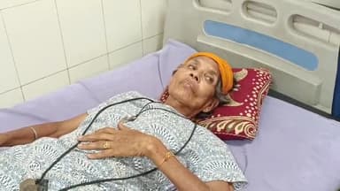 हिसार: ढंढूर स्थित गोदामों में एक बुजुर्ग महिला को पिटबुल नस्ल के कुत्ते ने काटा, महिला अस्पताल में भर्ती