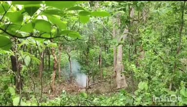 जमुई: गिद्धेश्वर जंगल में छुपा कर रखे गए 10 IED बमों को सुरक्षा बलों ने सर्च ऑपरेशन के दौरान किया बरामद, किए नष्ट