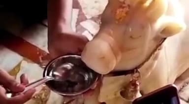 कानपुर: परमठ के आनंदेश्वर मंदिर में नंदी भगवान का शरबत पीते वीडियो हुआ वायरल